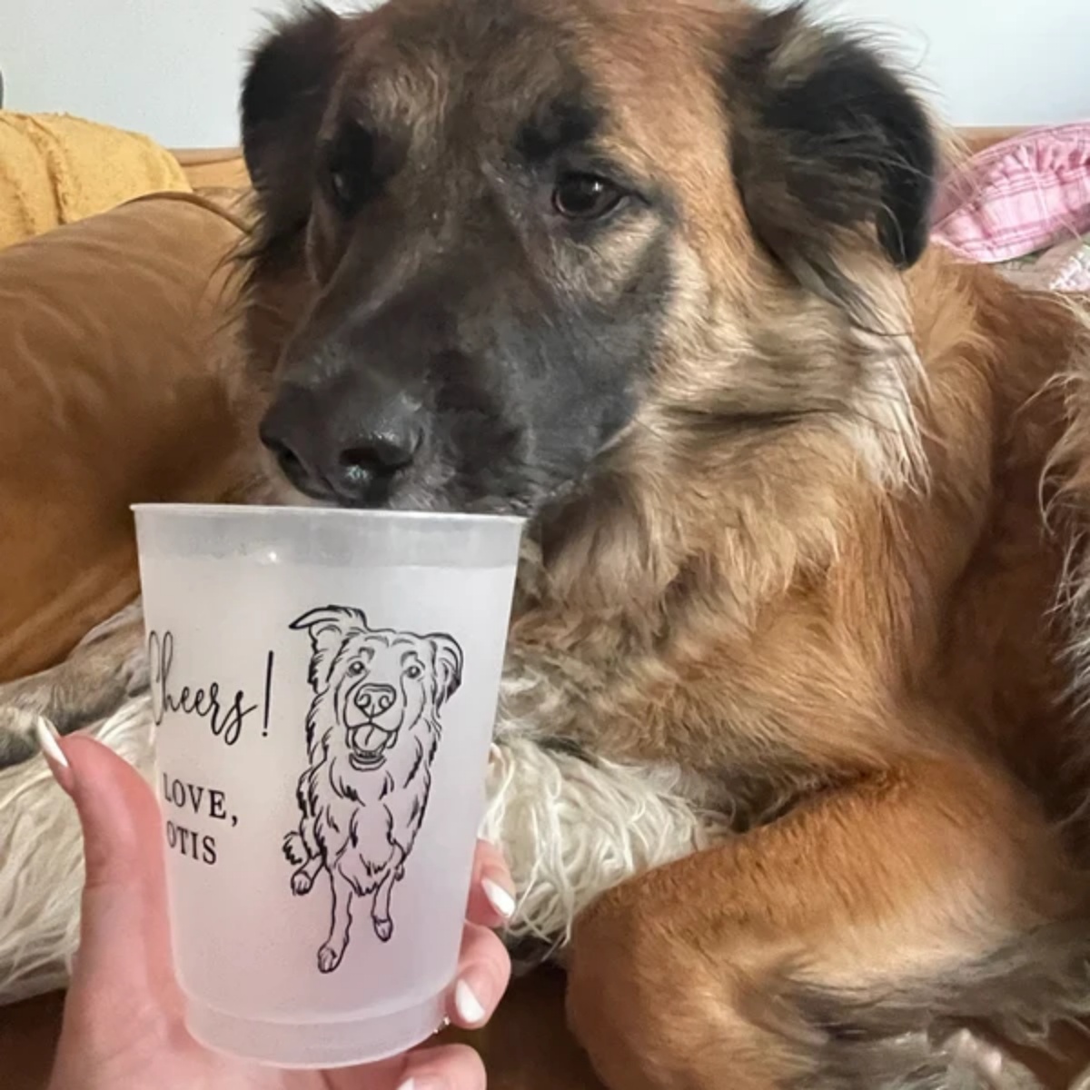 10/50 أكواب بلاستيكية مخصصة بت - مراجعة Plastic Cup 50Pcs وسعره